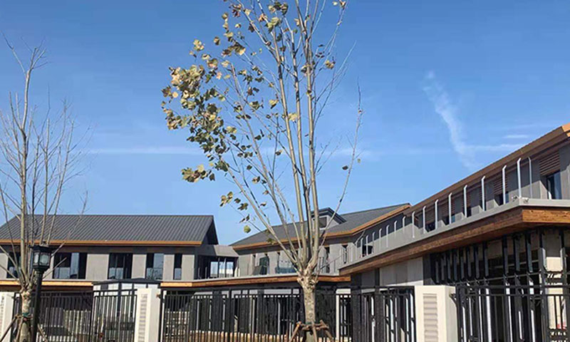 秦皇岛北戴河荣放康养小镇